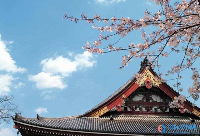 艺术留学可以选择日本吗？留学费用组成是怎样的呢？