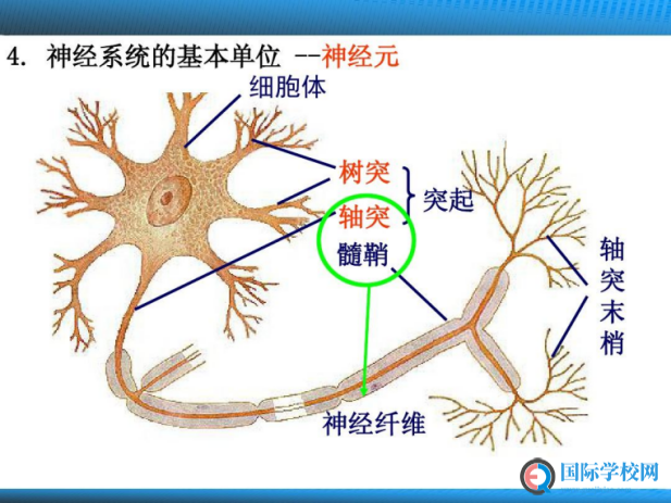 新冠疫情心理防护——拥有这四种能力，无畏人生“战役”