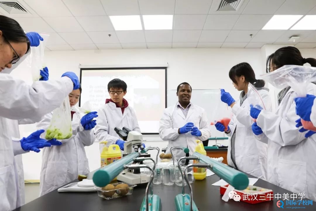 知道怎么从草莓中提取DNA吗?我们来教你! | 三牛趣课堂