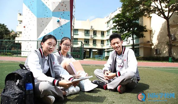 什么样的家庭会选择国际学校？看看这个调查