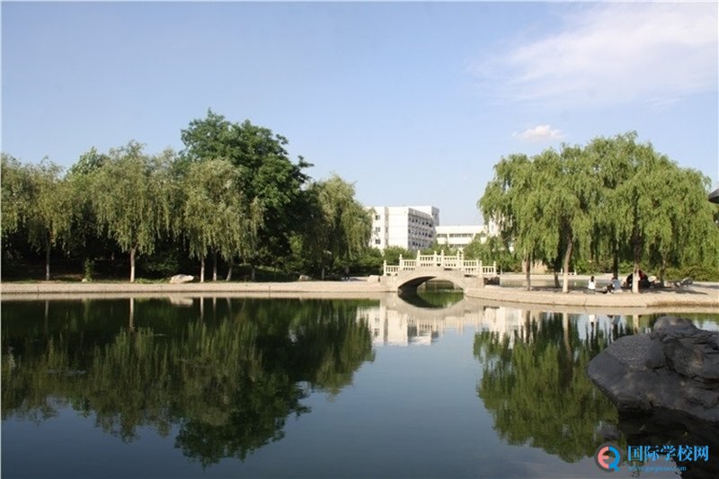 2020年山东理工大学2+2国际本科项目详情