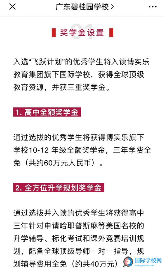 大湾区哪些国际高中给你“入学奖学金”