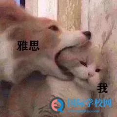 公开课报名 | 雅思写作遇瓶颈?你缺少一个正确的雅思观