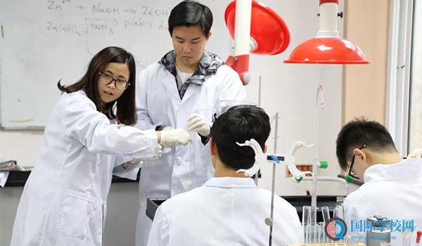 威海常春藤学校 ：威海常春藤线上分享会，探索升入名校的秘密