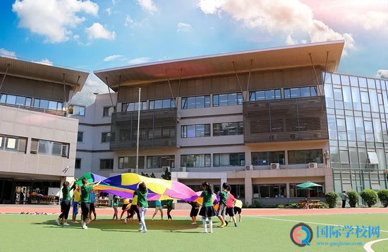 新浪2020国际学校在线咨询会 - 青苗国际双语学校
