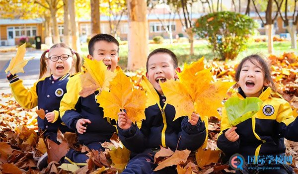 北京市新府学外国语学校 ：北京新府学5月线上招生说明会报名开启