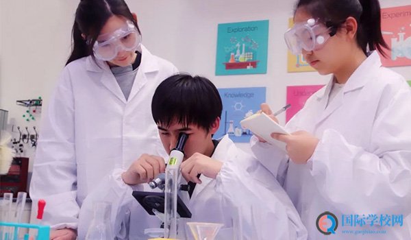 与合肥新华公学校长面对面交流，等您来
