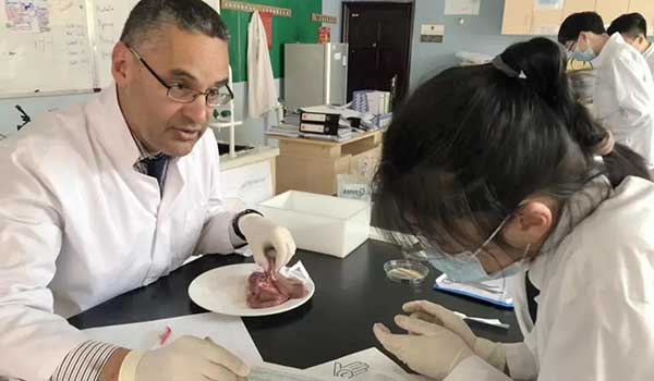 牛津国际公学成都校区 ：牛津国际公学成都校区EPQ课程项目是什么？怎么样？