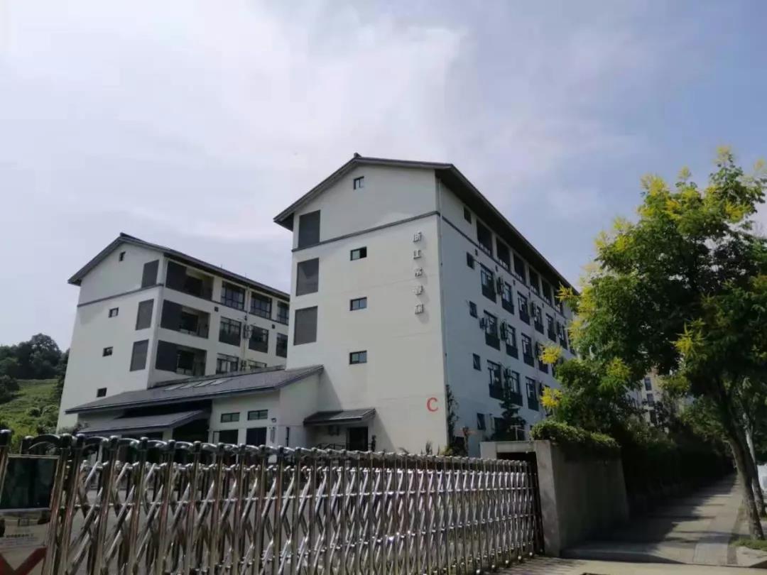浙江省国际高中阶段的线下招生开启了吗？哪些学校值得参考？