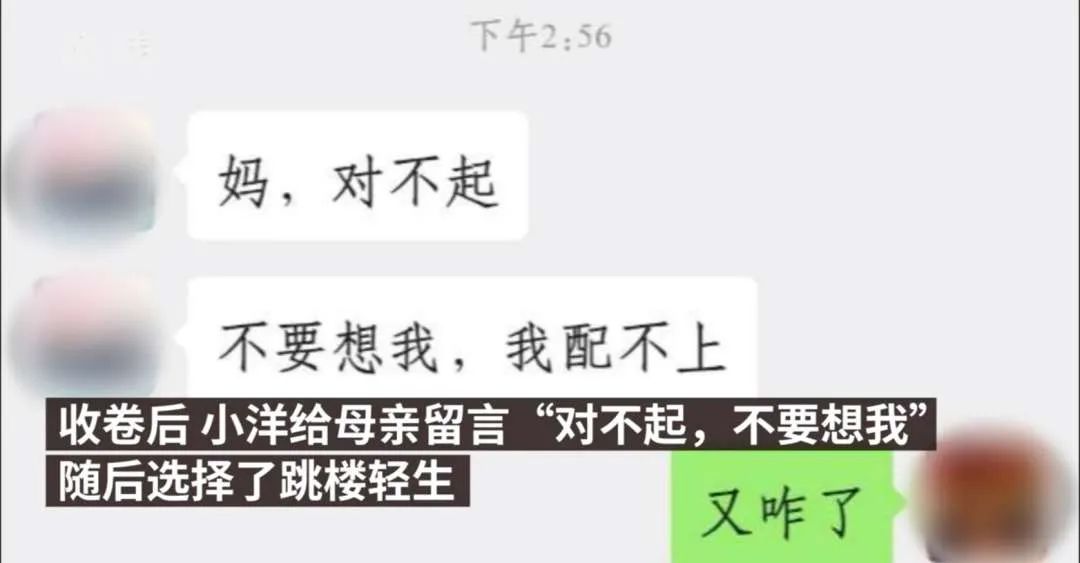 大学生作弊被抓后坠亡，学校到底有没有责任？