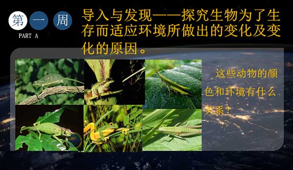 武汉市澳洲国际学校 ：三年级第一期探究，武汉澳洲国际学校带你看世界运转