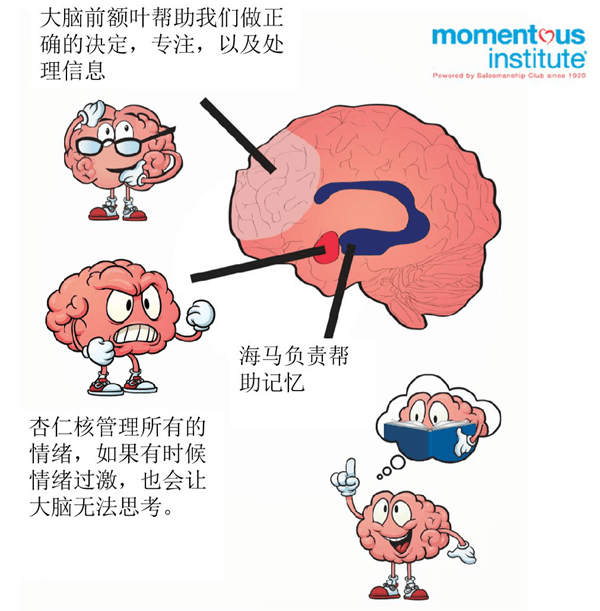 成都协同学校家校联合会，“协”手童心育英才