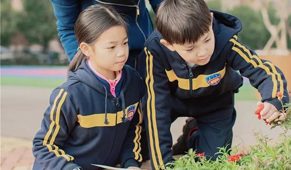 武汉市澳洲国际学校 ：IBMYP课程知多少？武汉澳洲来介绍