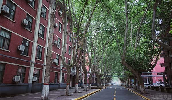 西北大学国际商学院 ：西大国际商学院德国双元制职业教育，保就业