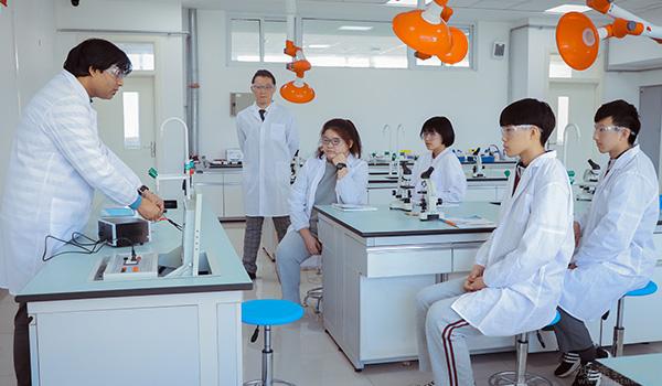 北大青鸟同文锦州实验学校 ：北大青鸟同文锦州实验学校开设什么课程？