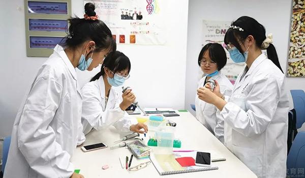 北京中育贝拉国际高中 ：北京中育贝拉学子研学活动收获满满
