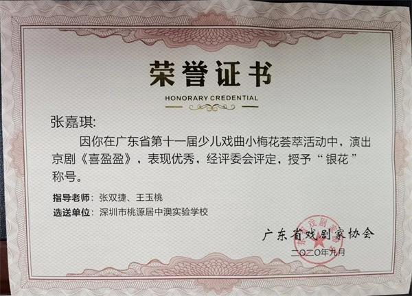 深圳市桃源居中澳实验学校学子在小梅花荟萃活动中被授予“银花”称号！