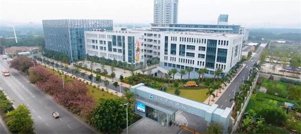 恒润实验学校国际部“专家讲座”开新讲，师生同堂赏晴光