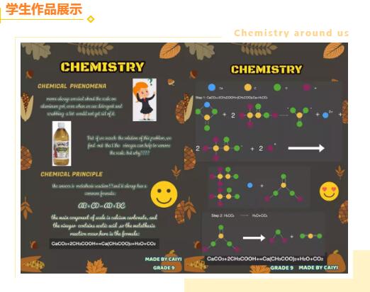 兰州碧桂园学校学生在RSC-ASDAN国际化学画报大赛中一举摘得初中组金奖桂冠！