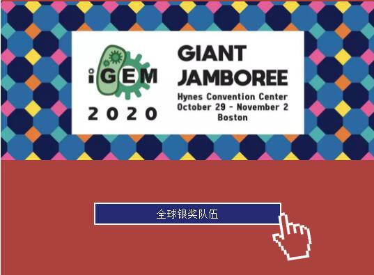 喜报丨江苏省震泽中学国际部2020年iGEM与AMC大赛战绩强势来袭！