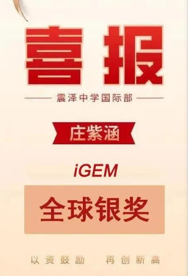 喜报丨江苏省震泽中学国际部2020年iGEM与AMC大赛战绩强势来袭！
