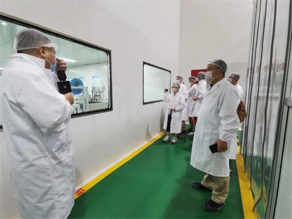 蝉联金奖！济南外国语国际课程中心学子斩获2020国际基因工程机器大赛（iGEM）全球金奖！