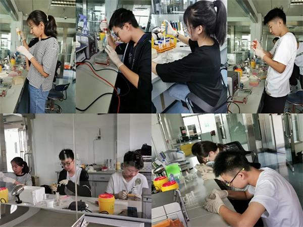 蝉联金奖！济南外国语国际课程中心学子斩获2020国际基因工程机器大赛（iGEM）全球金奖！