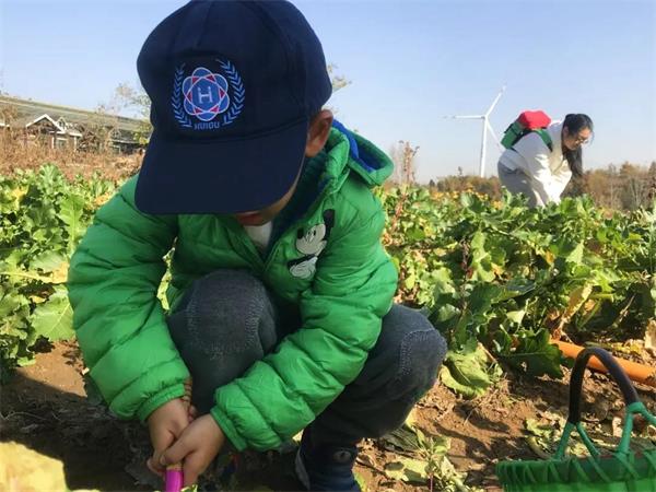 感受劳动之美 | 青岛威德明特双语学校农耕体验活动圆满收官