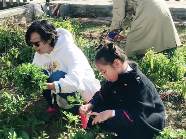 感受劳动之美 | 青岛威德明特双语学校农耕体验活动圆满收官
