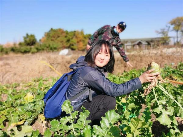 感受劳动之美 | 青岛威德明特双语学校农耕体验活动圆满收官
