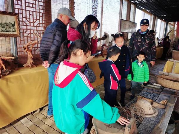 感受劳动之美 | 青岛威德明特双语学校农耕体验活动圆满收官