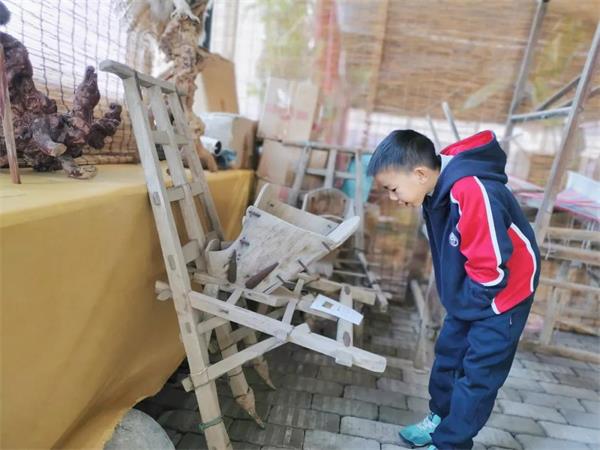 感受劳动之美 | 青岛威德明特双语学校农耕体验活动圆满收官