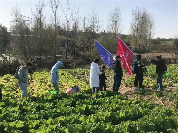 感受劳动之美 | 青岛威德明特双语学校农耕体验活动圆满收官
