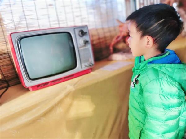 感受劳动之美 | 青岛威德明特双语学校农耕体验活动圆满收官