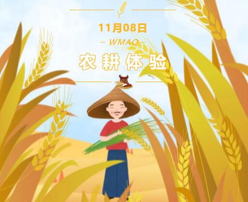 感受劳动之美 | 青岛威德明特双语学校农耕体验活动圆满收官