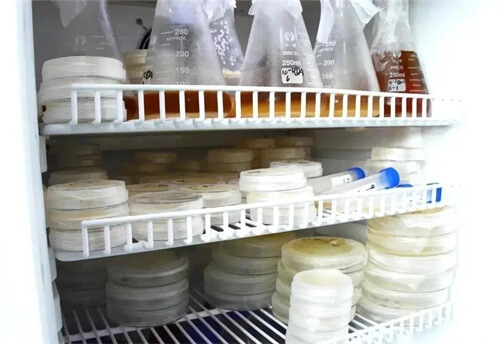 深圳新哲书院（原讯得达国际书院）奇谈: 蛛丝“蚂”迹生物社