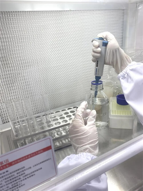 深圳新哲书院（原讯得达国际书院）奇谈: 蛛丝“蚂”迹生物社