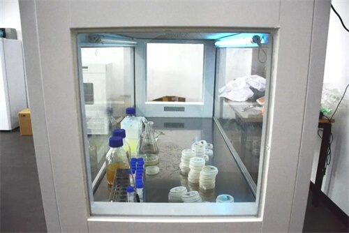 深圳新哲书院（原讯得达国际书院）奇谈: 蛛丝“蚂”迹生物社