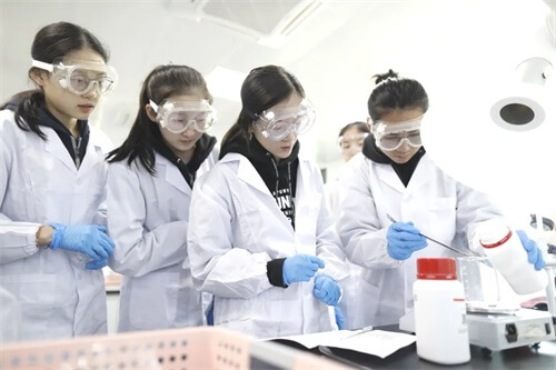 深圳新哲书院（原讯得达国际书院）奇谈: 蛛丝“蚂”迹生物社