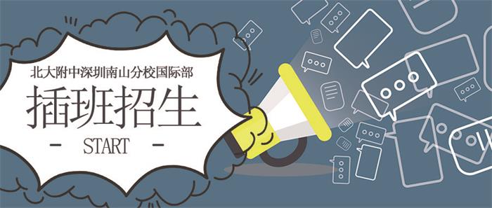 北大附中深圳南山分校国际部2021年春季插班通知