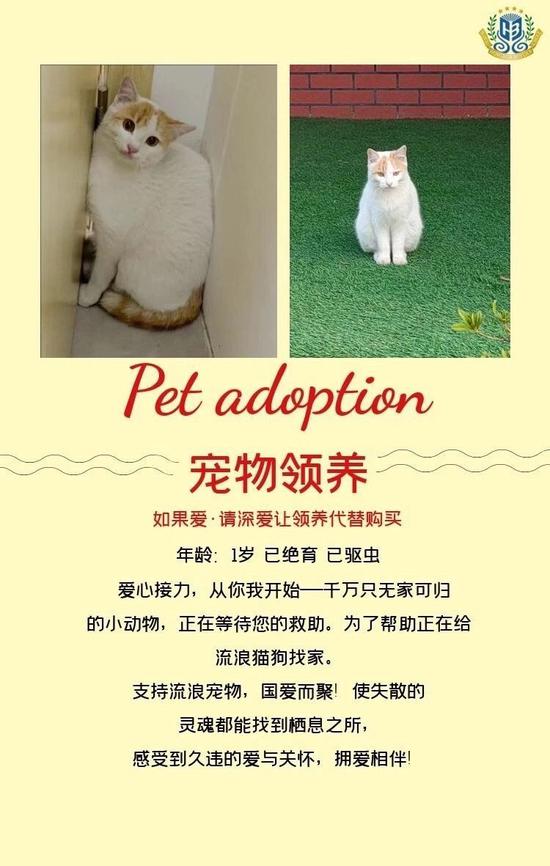 让人成长蜕变的教育 - 宏润博源学校建设上海项目