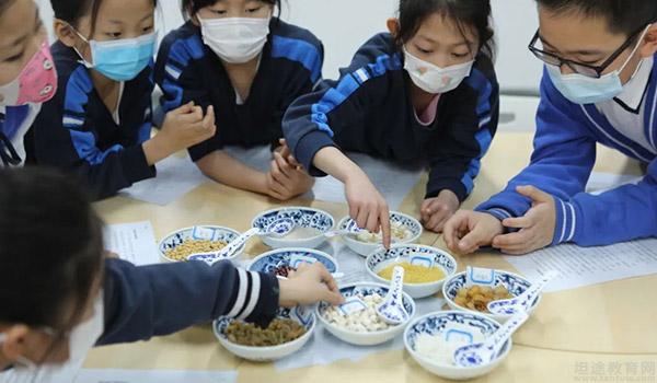 北京致知学校 ：北京致知学校怎么样开展腊八活动？