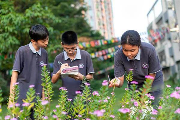 牛！广州市黄埔中黄外国语小学“全球胜任力”培养再获全球权威教育体系认可！