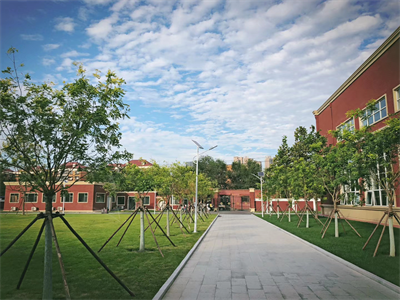 天津美达菲国际学校国际高中部学费多少呢?
