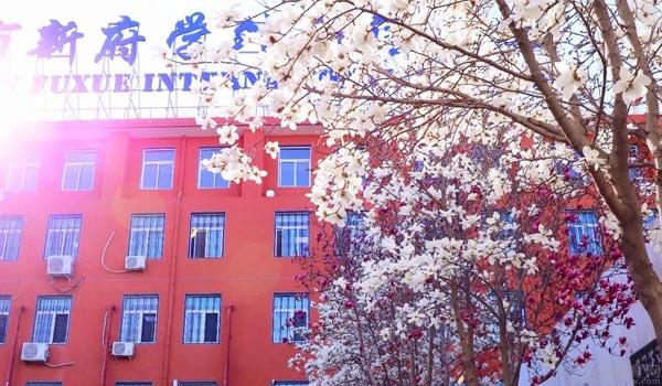 北京热门国际学校3月份开放日活动汇总