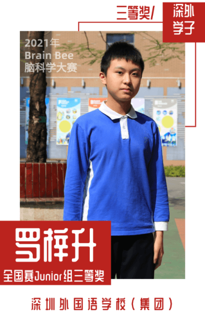 喜讯 | 深圳外国语学校国际部学子参加全国脑科学竞赛斩获佳绩