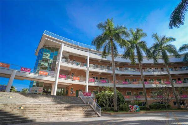 喜讯 | 深圳外国语学校国际部学子参加全国脑科学竞赛斩获佳绩
