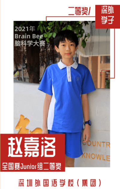 喜讯 | 深圳外国语学校国际部学子参加全国脑科学竞赛斩获佳绩