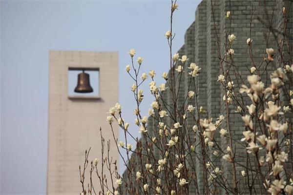 北外附属龙游湖外国语学校从“阿斯丹考试中心”到“国际竞赛大奖沃土”