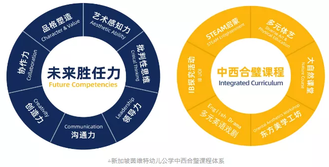 深圳新加坡茵维特国际学校怎么样?